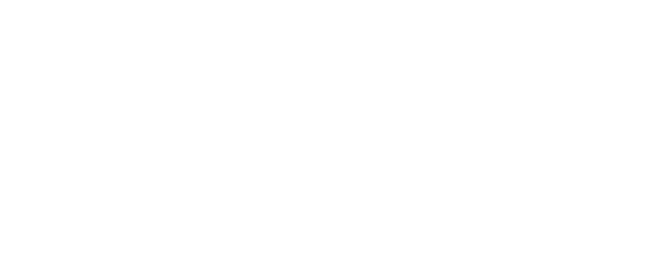 Encuesta factores de riesgo psicosocial y evaluación de entorno organizacional en los centros de trabajo - DEMO